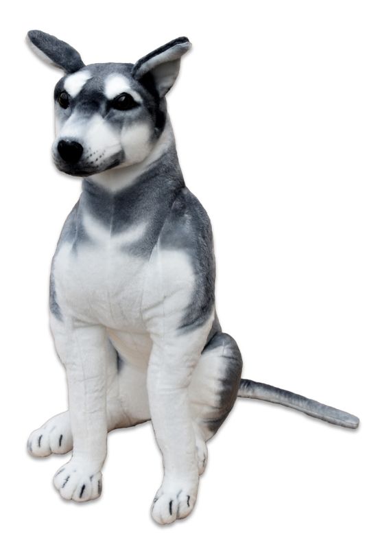 pes husky