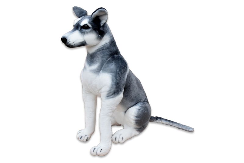 Plyšový Pes HUSKY výška 80cm