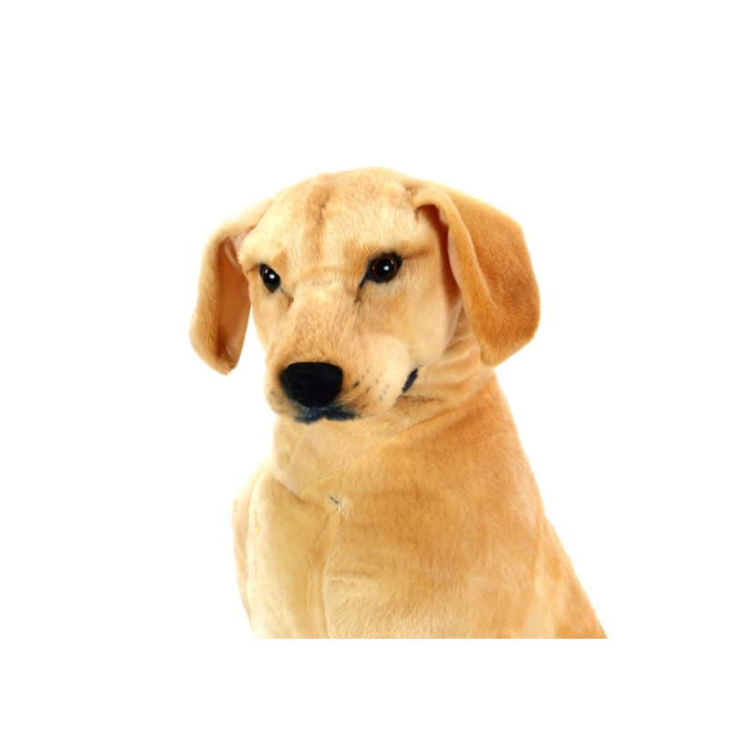 Plyšový velký LABRADOR 83cm