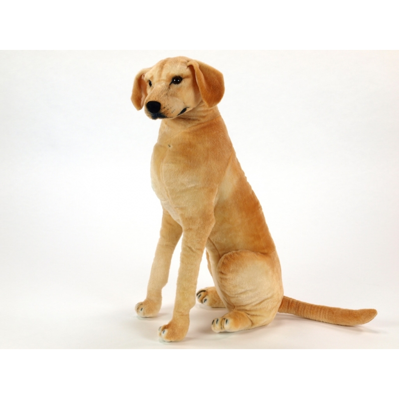 Plyšový velký LABRADOR 83cm