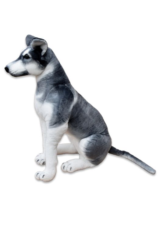 Plyšový Pes HUSKY výška 80cm
