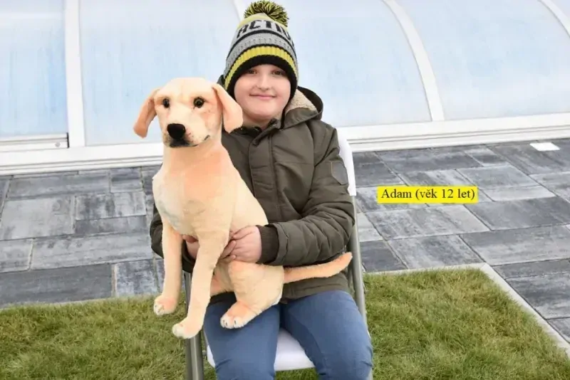 Plyšový LABRADOR ARGO 55cm